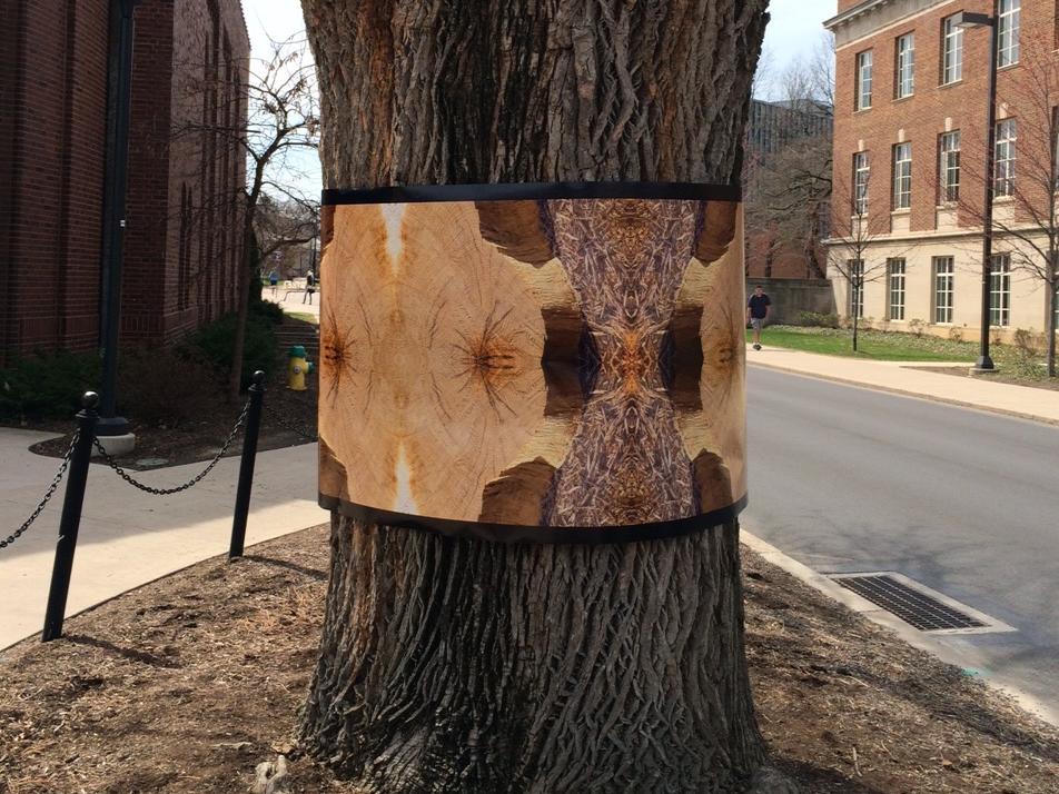 wrapped tree