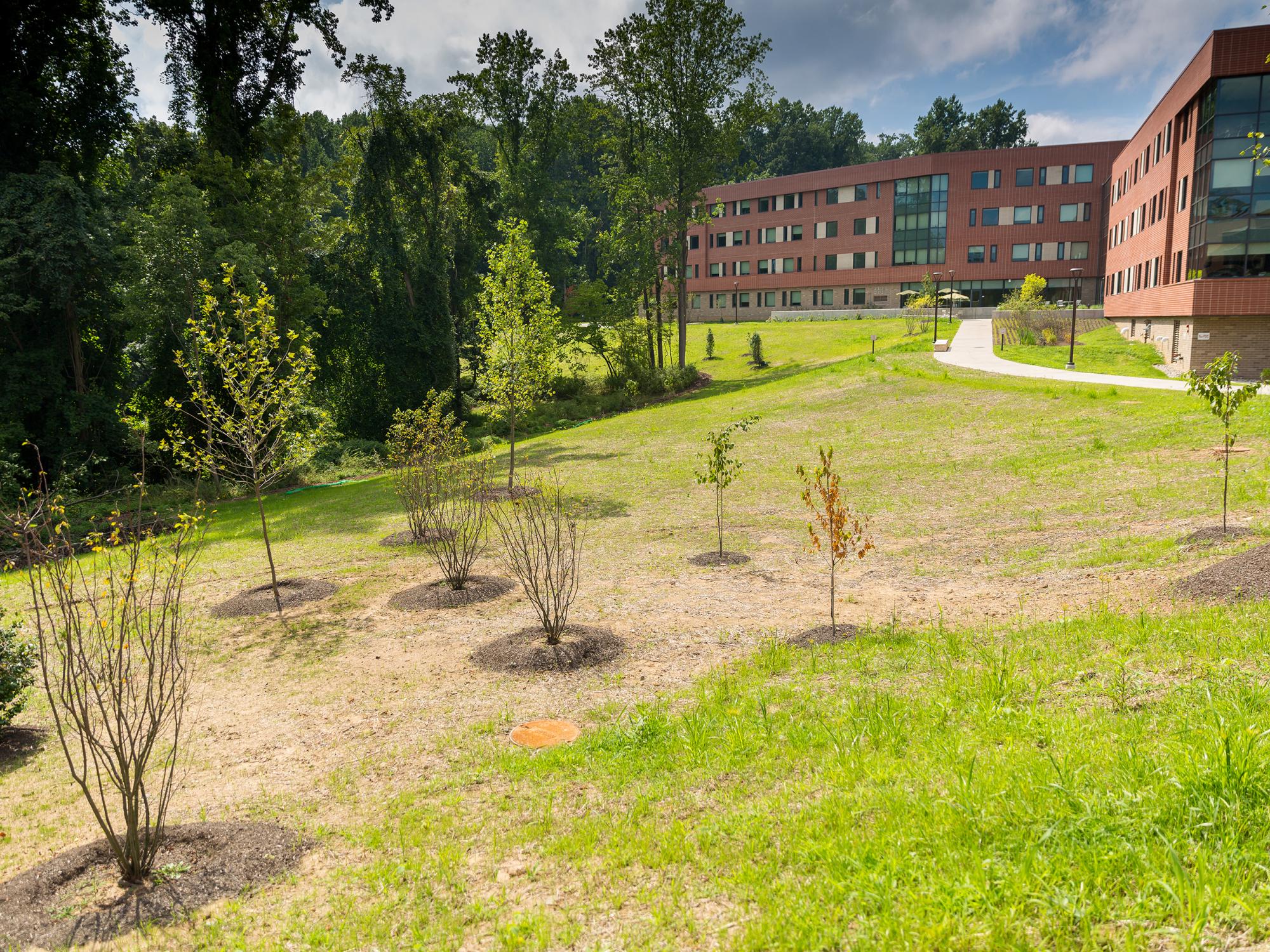 Orchard Hall Landscape at Penn State Brandywine