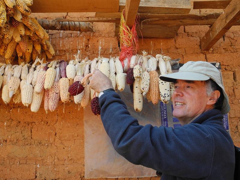 Karl Zimmerer looks at high-biodiversity Andean maize being dried following harvest in Huánuco in the Andes of Central Peru in July 2016. 