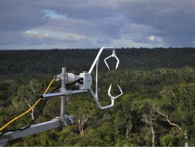 electronic device mounted above trees