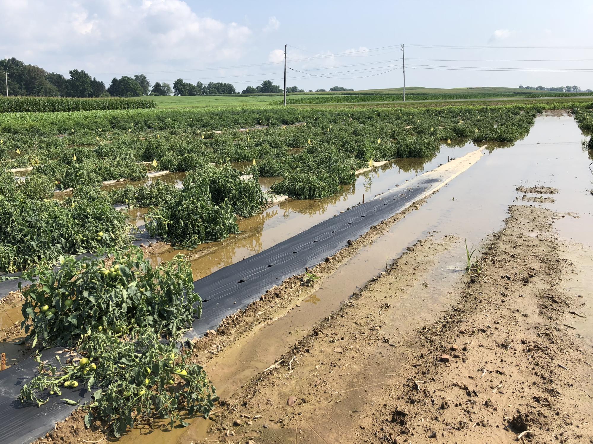 Aug. 2018