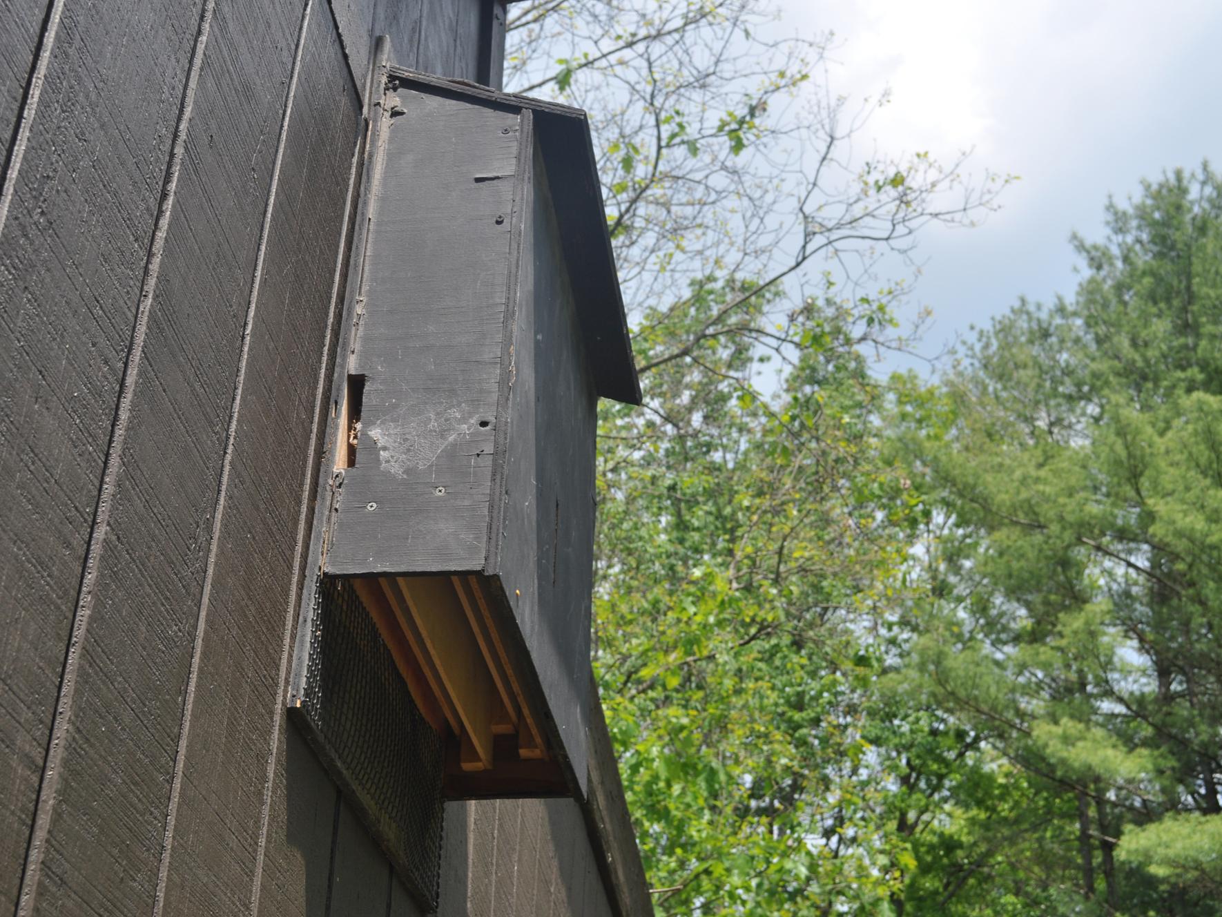 Shaver's Creek bat box 2013