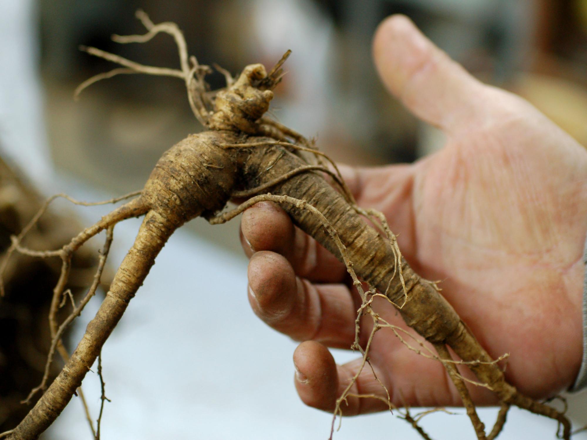 root in hand