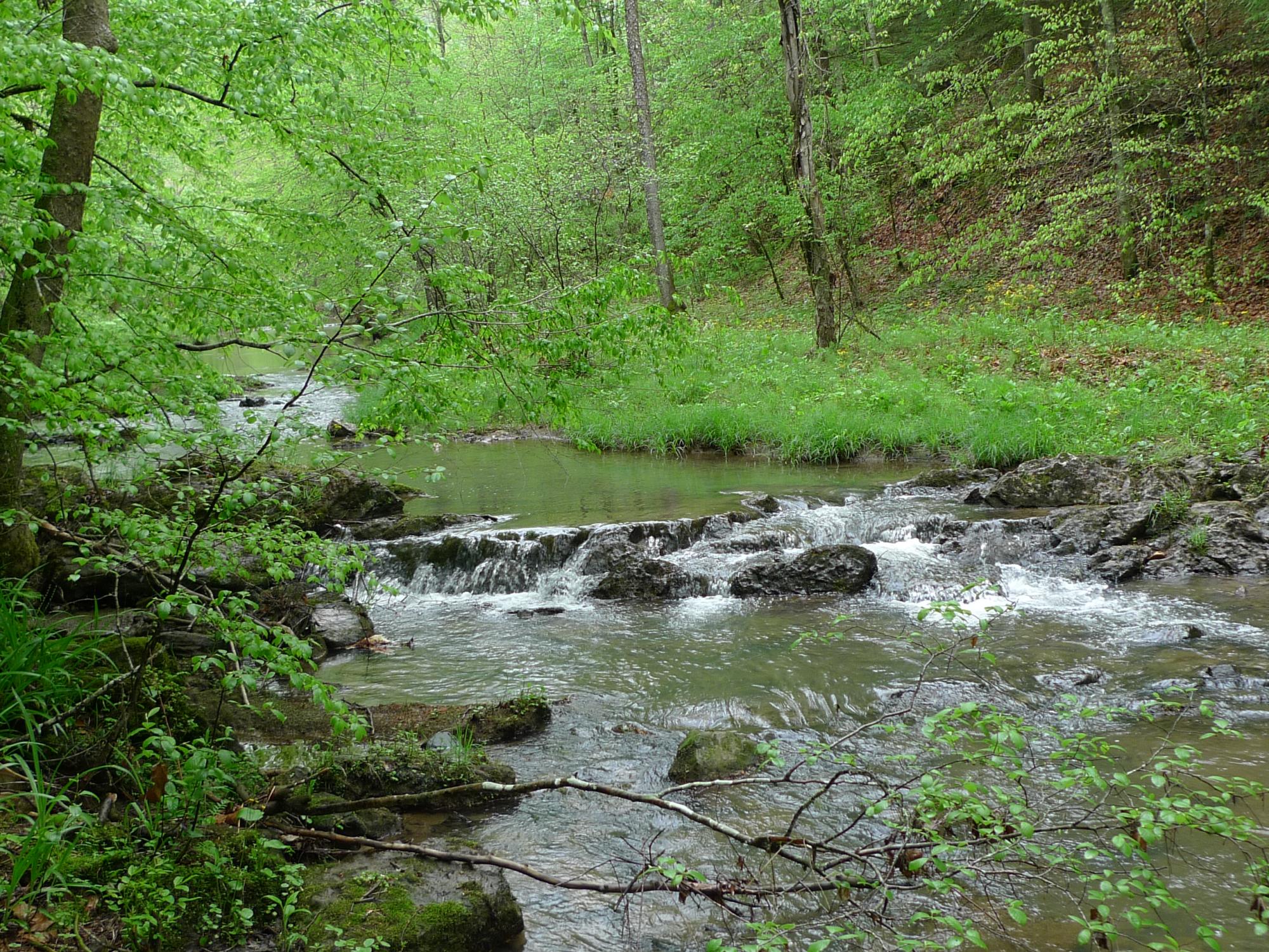 small mountain stream