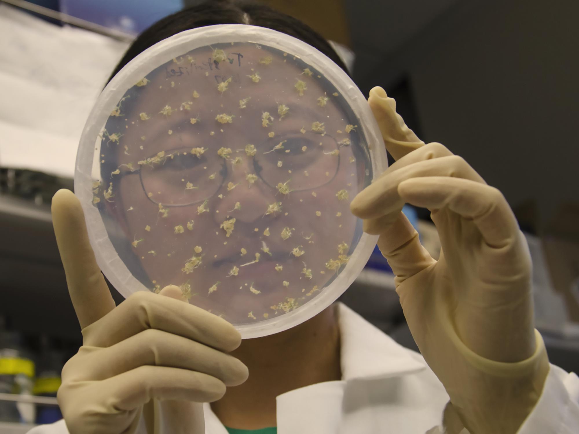 Zhang in lab 