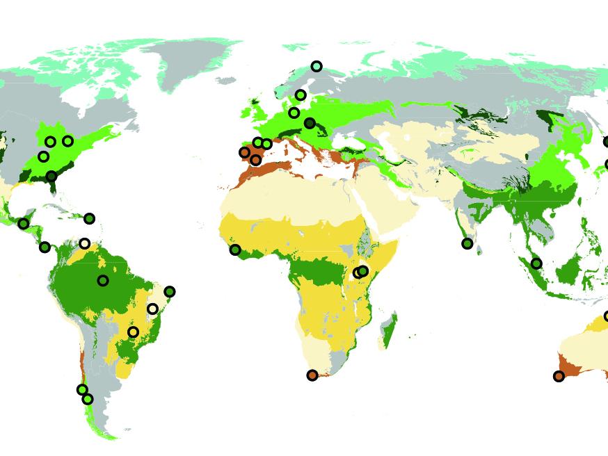 global map