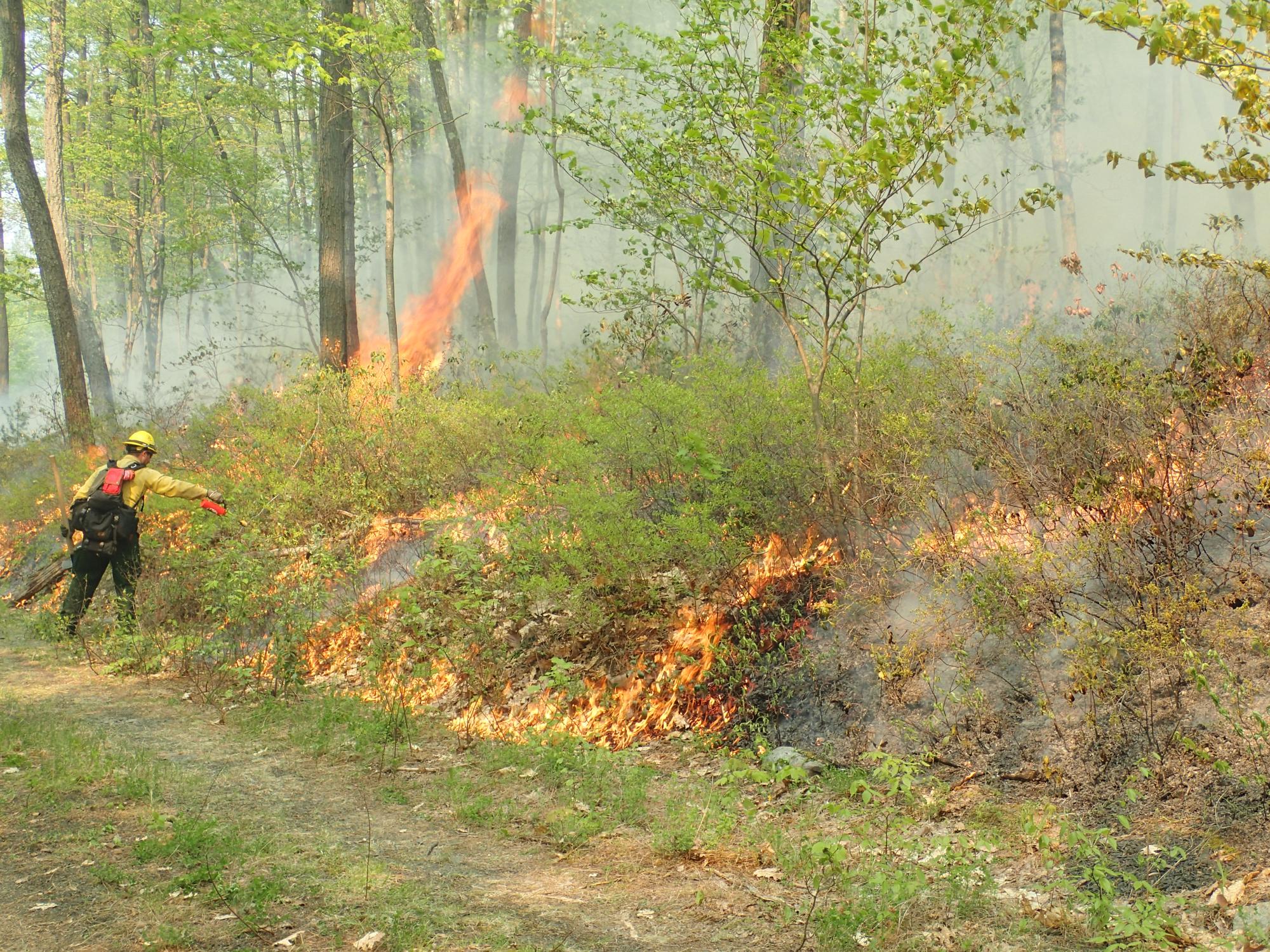 lighting a prescribed burn