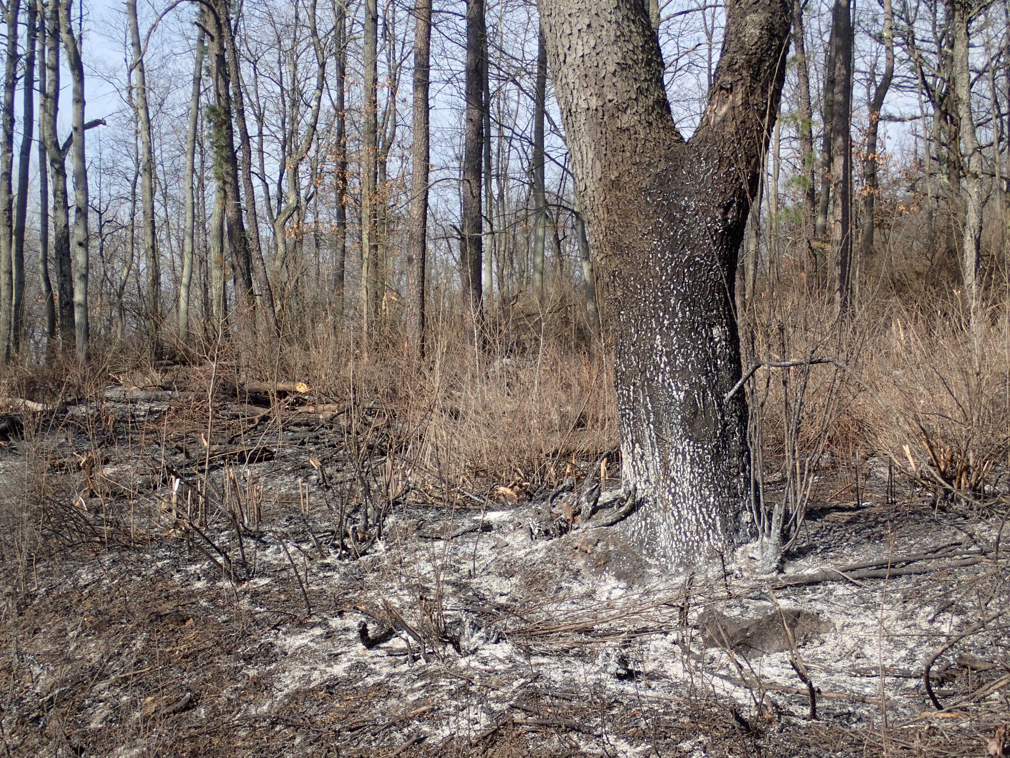 after a burn
