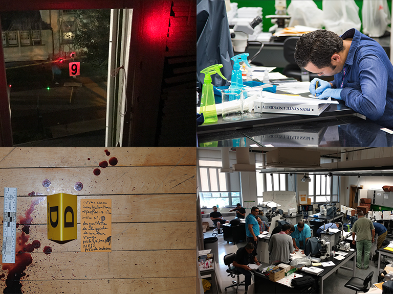 Processing a mock crime scene and analyzing evidence in the lab