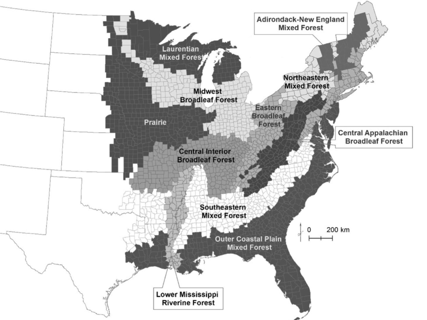 deer data