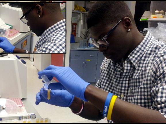Fortunay Diatta decants samples in the Jegla lab