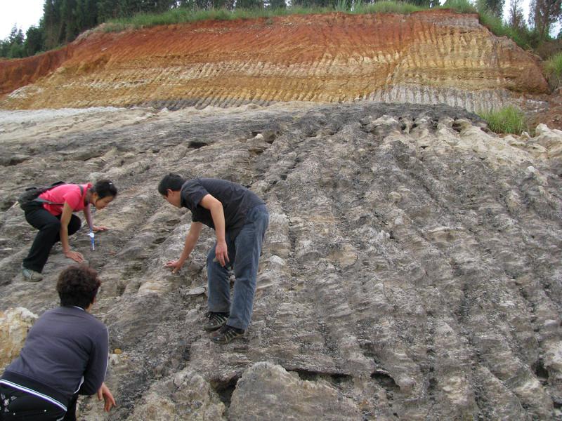 road construction project