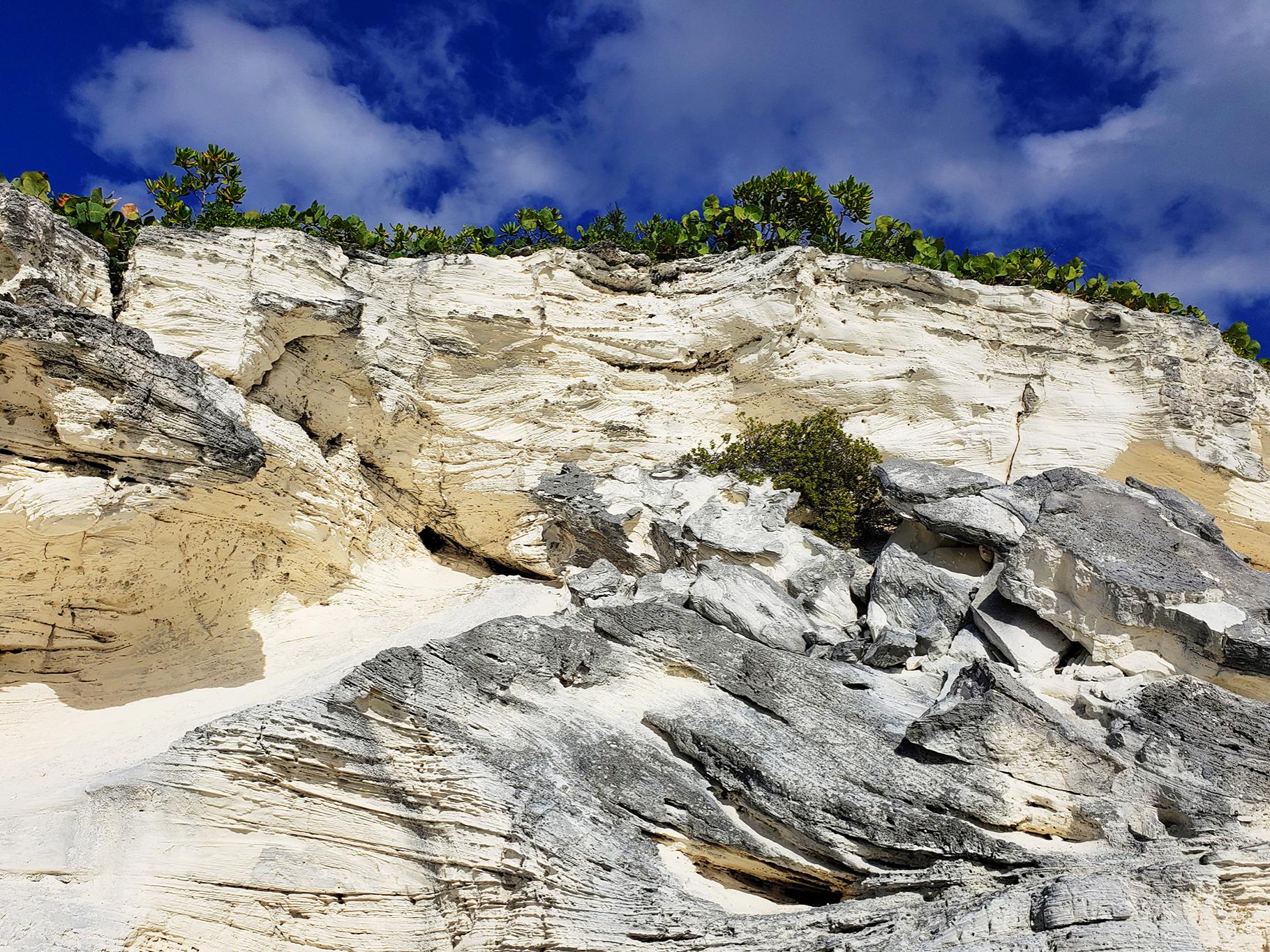 Students studied the science behind the land and water of San Salvador, an island district of the Bahamas.