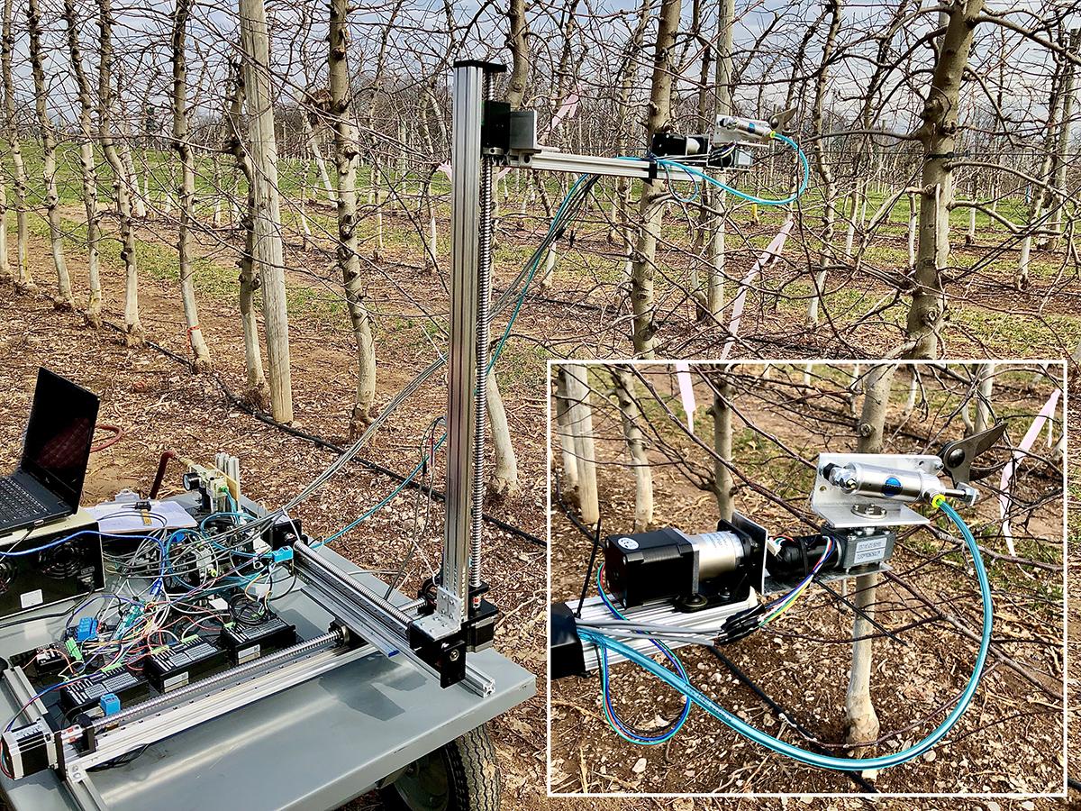 prototype in action