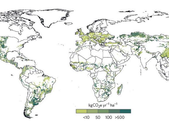 global grazing land map