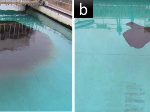 Inexpensive material offers solution for ocean oil spills | Penn ...