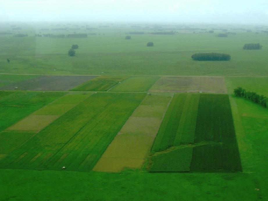 An aerial view of a large, green field of various crops.