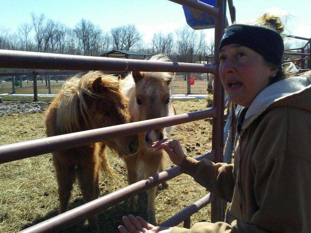 a woman feeding a pony