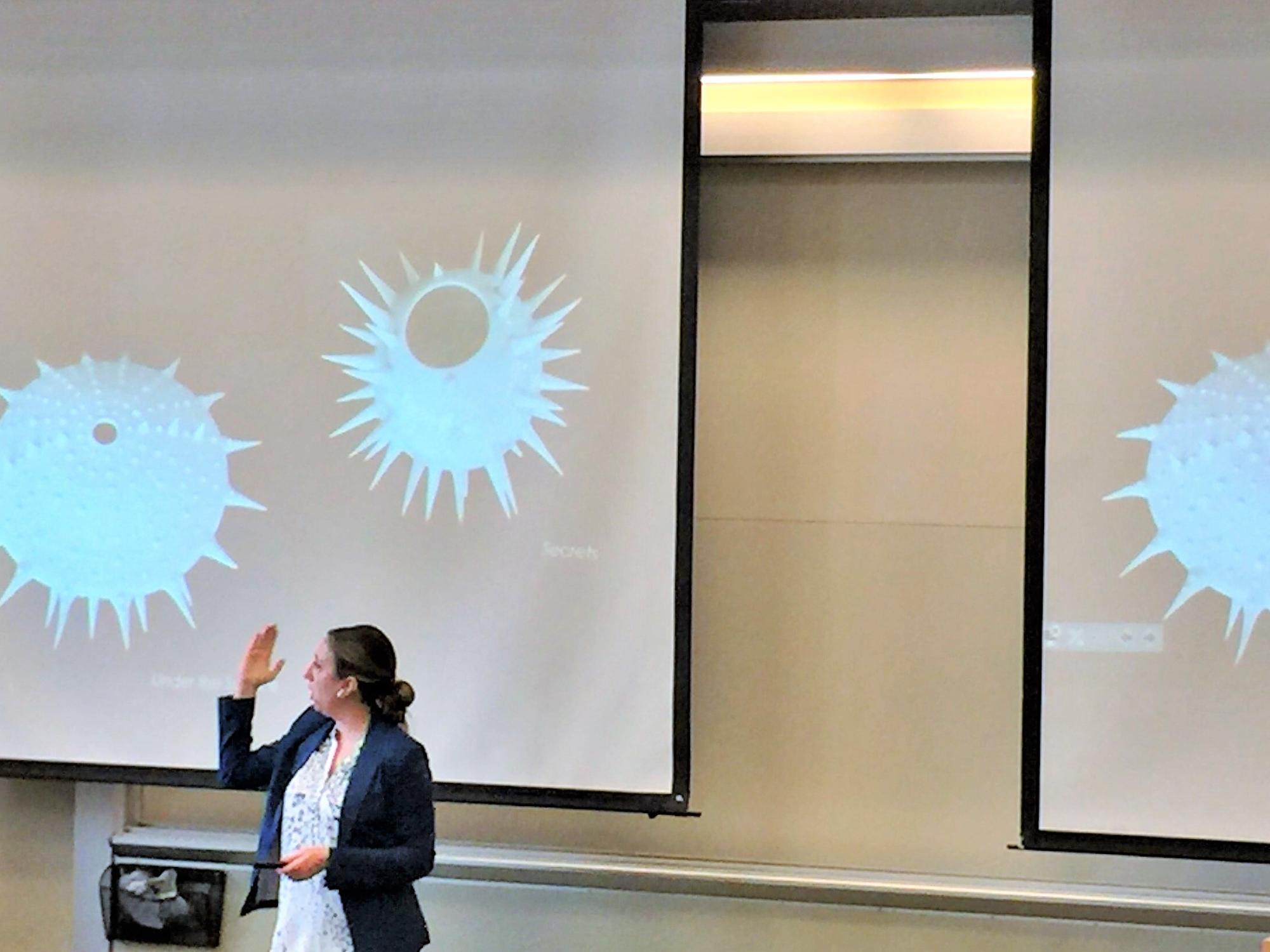 Thompson showing spiky objects that have inspired her art