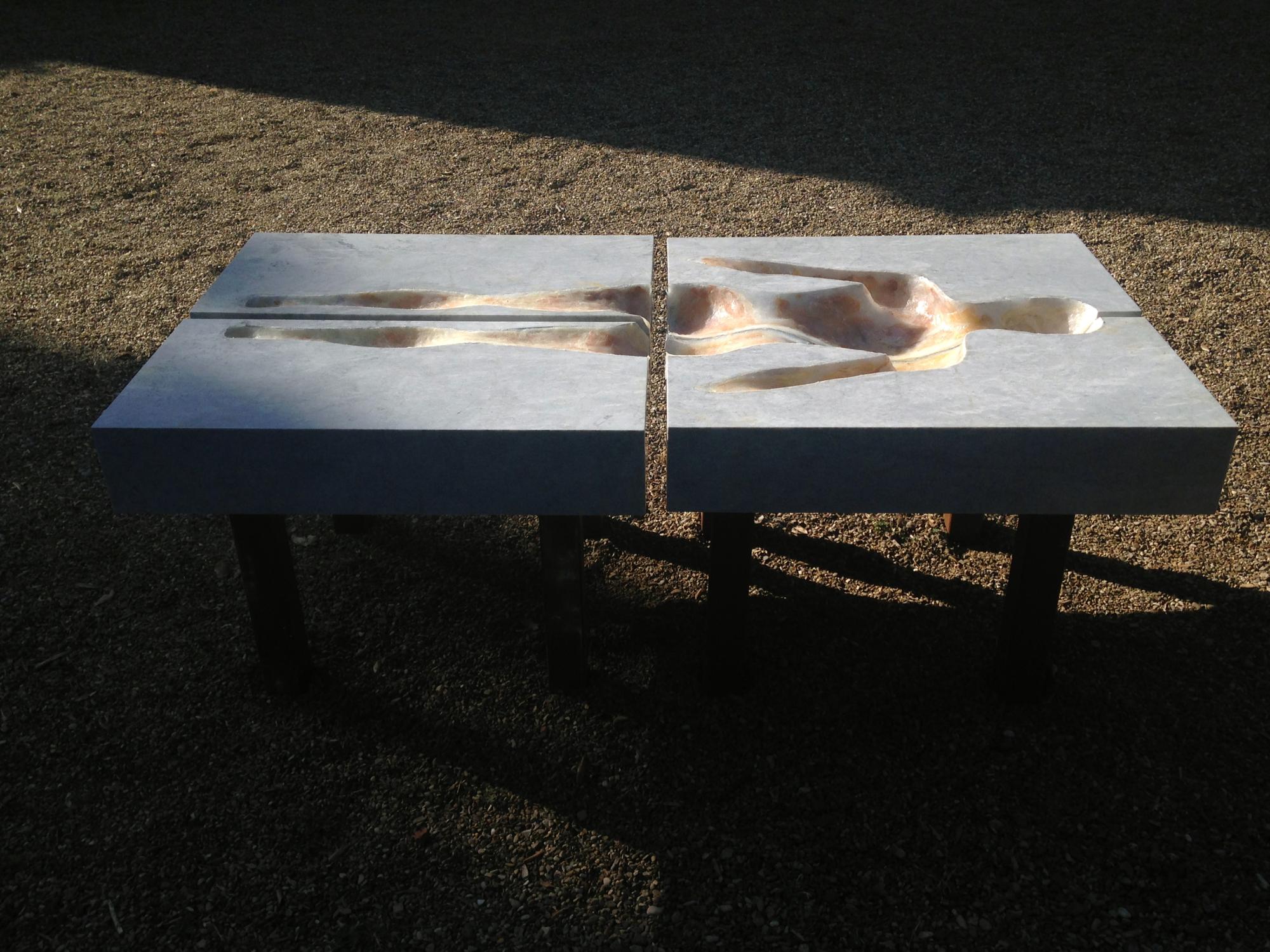 "Transection of Anatomical Planes" Sculpture by Cristin Millett