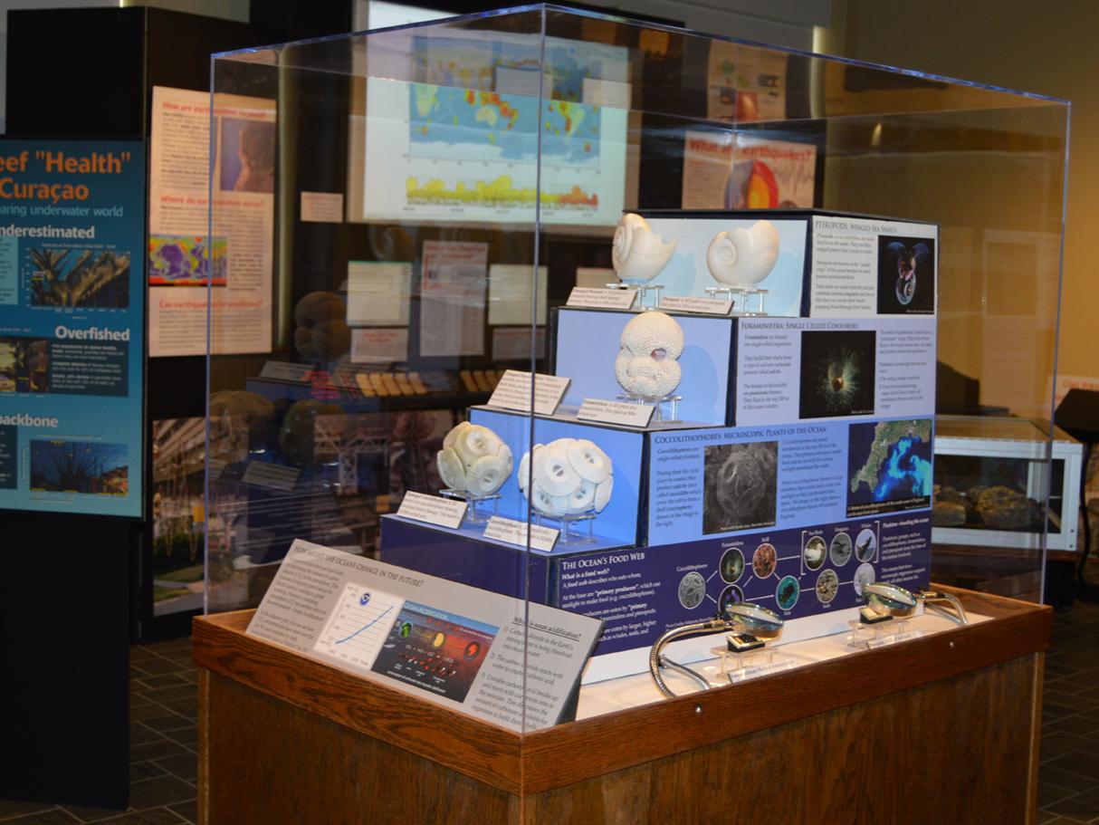 new exhibit in museum and art gallery