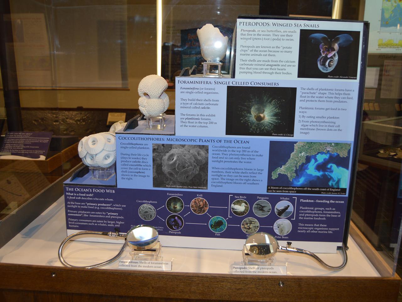 side view of new exhibit at museum and art gallery