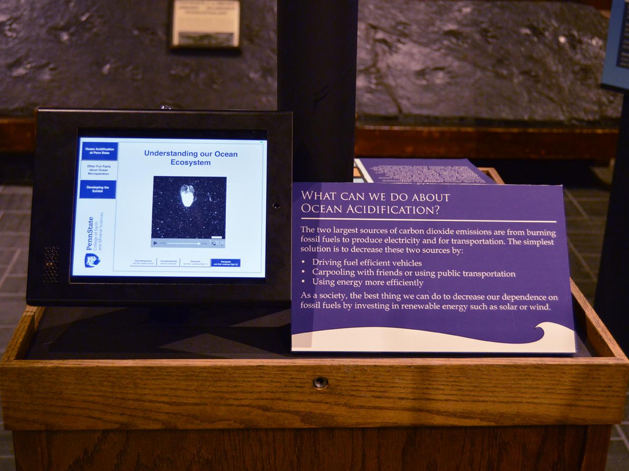 interactive screen at new museum and art gallery exhibit