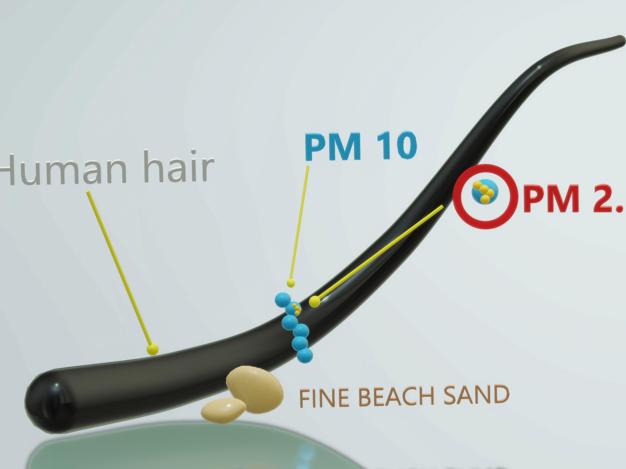 Particulate matter, or "soot," is very tiny, approximately 1/20 the size of the width of a hair