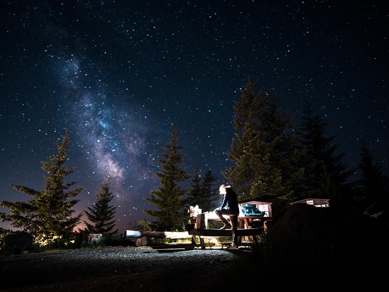 Sam Reiser, stars