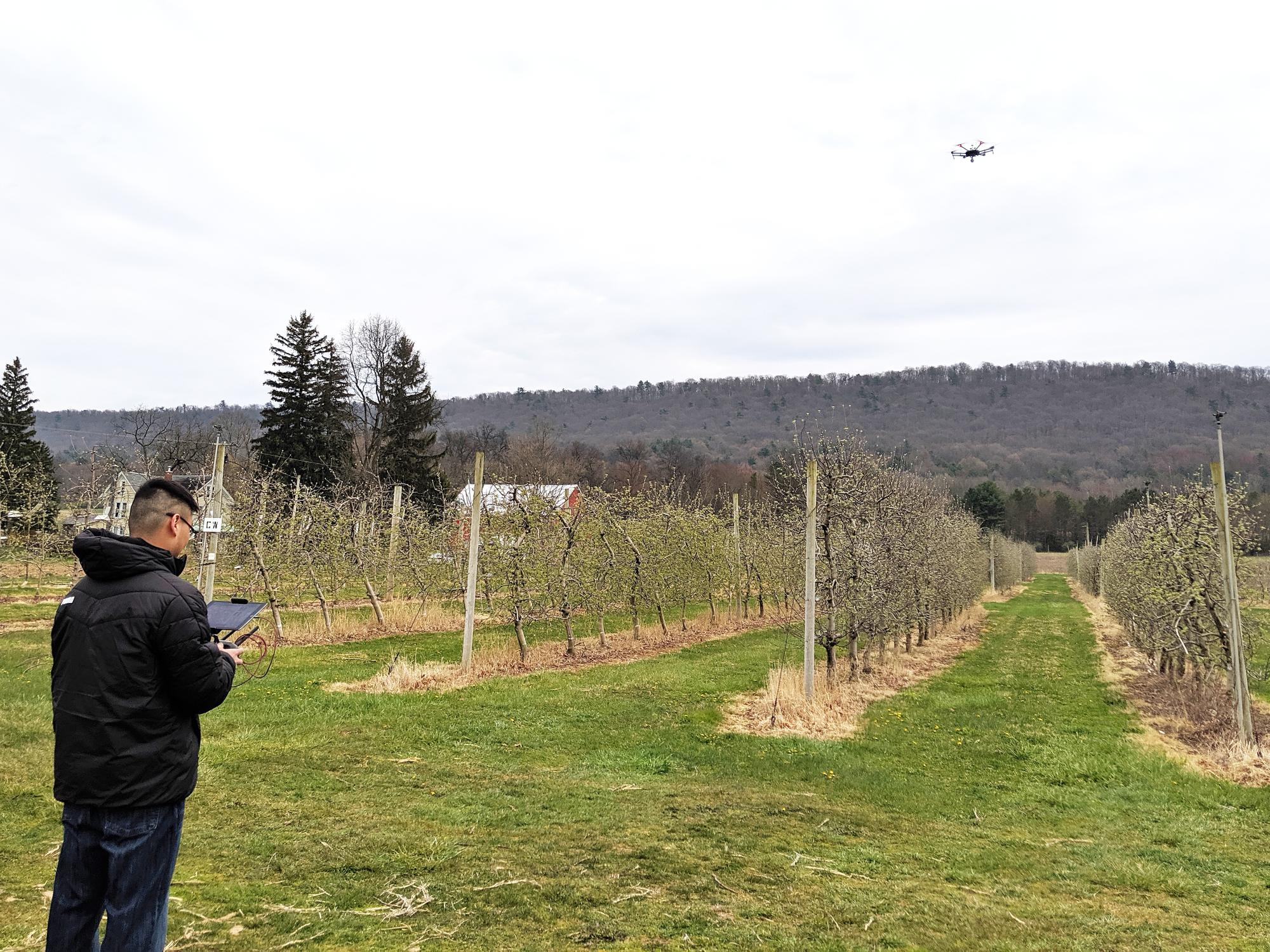 flying over apple trees
