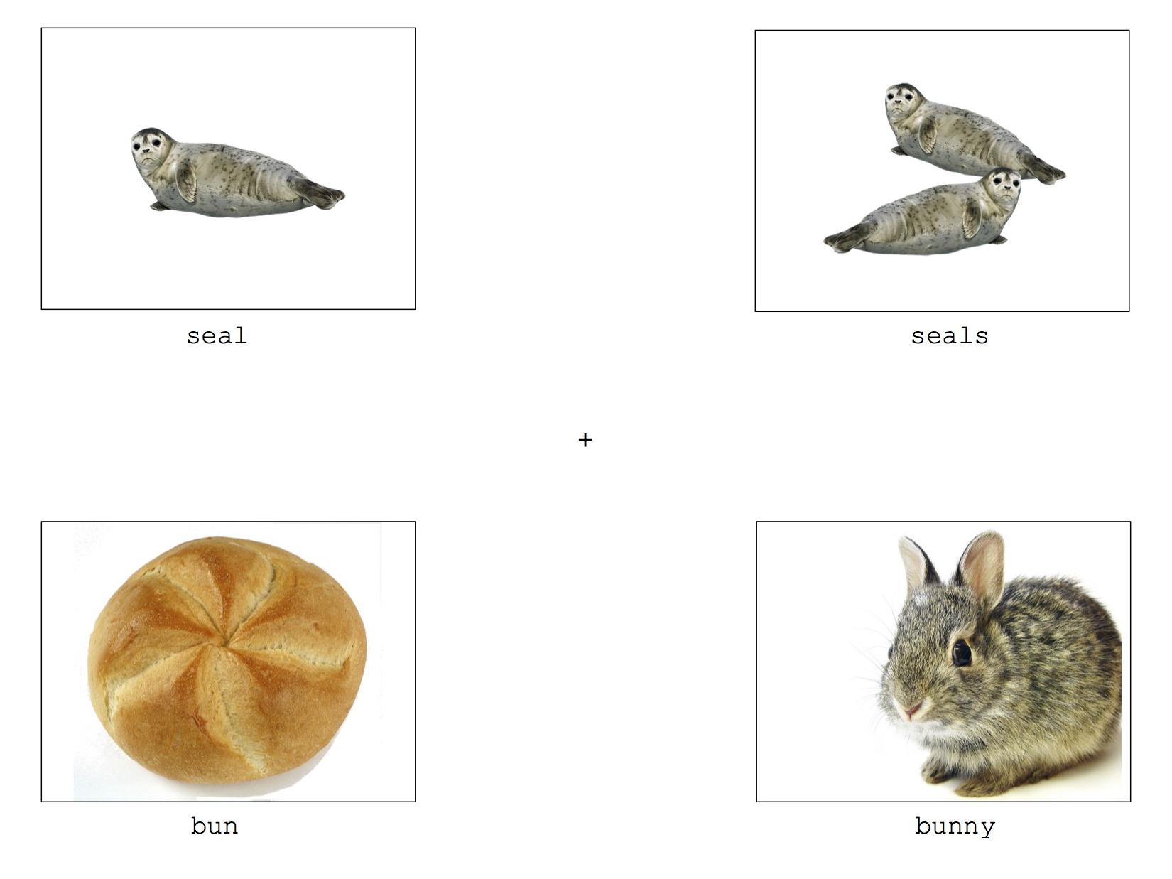 A screenshot of the eye tracker's computer screen shows a seal, a bun, a bunny, and a herd of seals