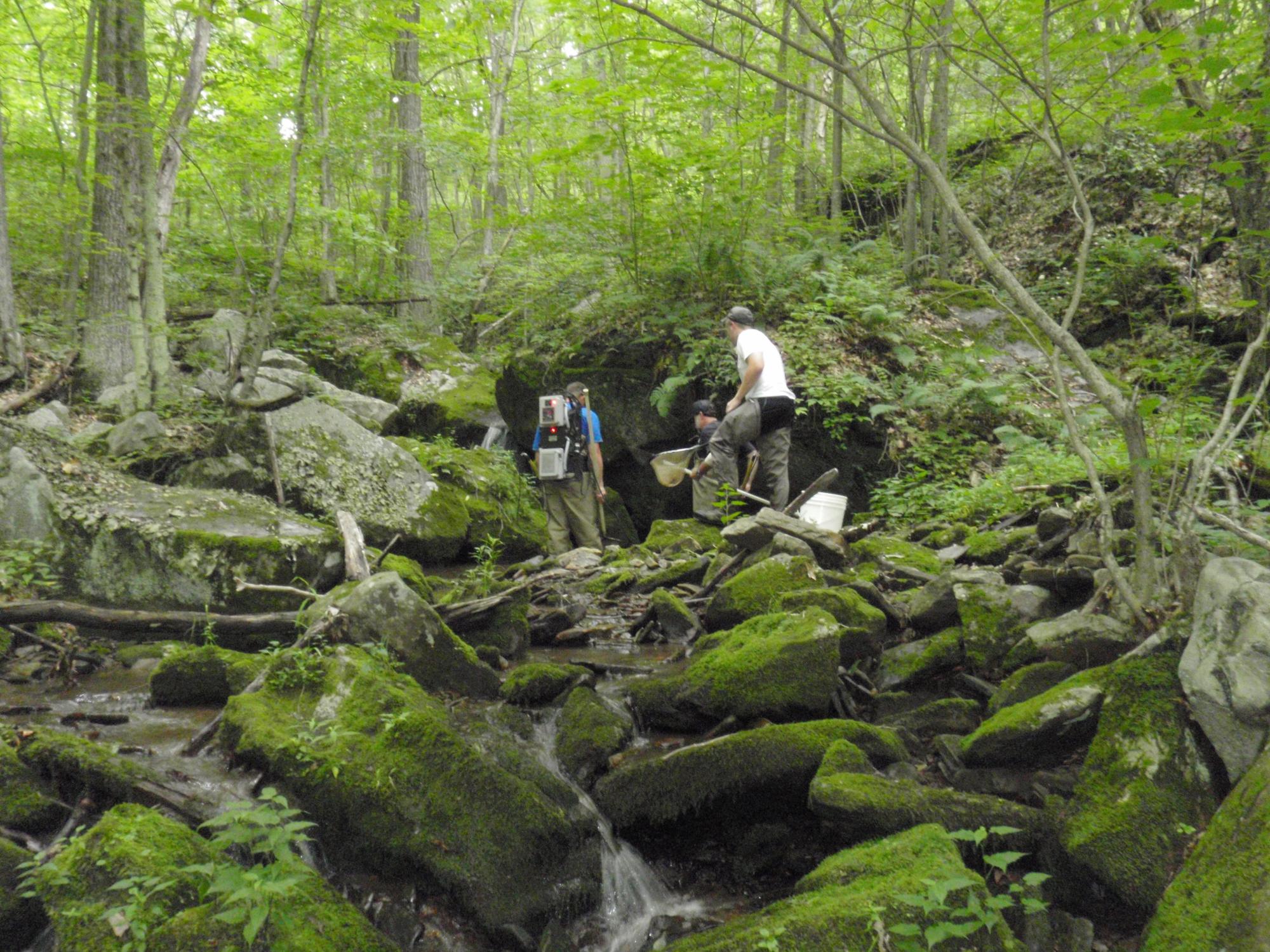 men climbing on rocks