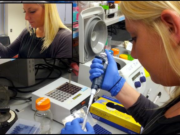 Sarah Rhodes pipettes samples in the Jegla lab.