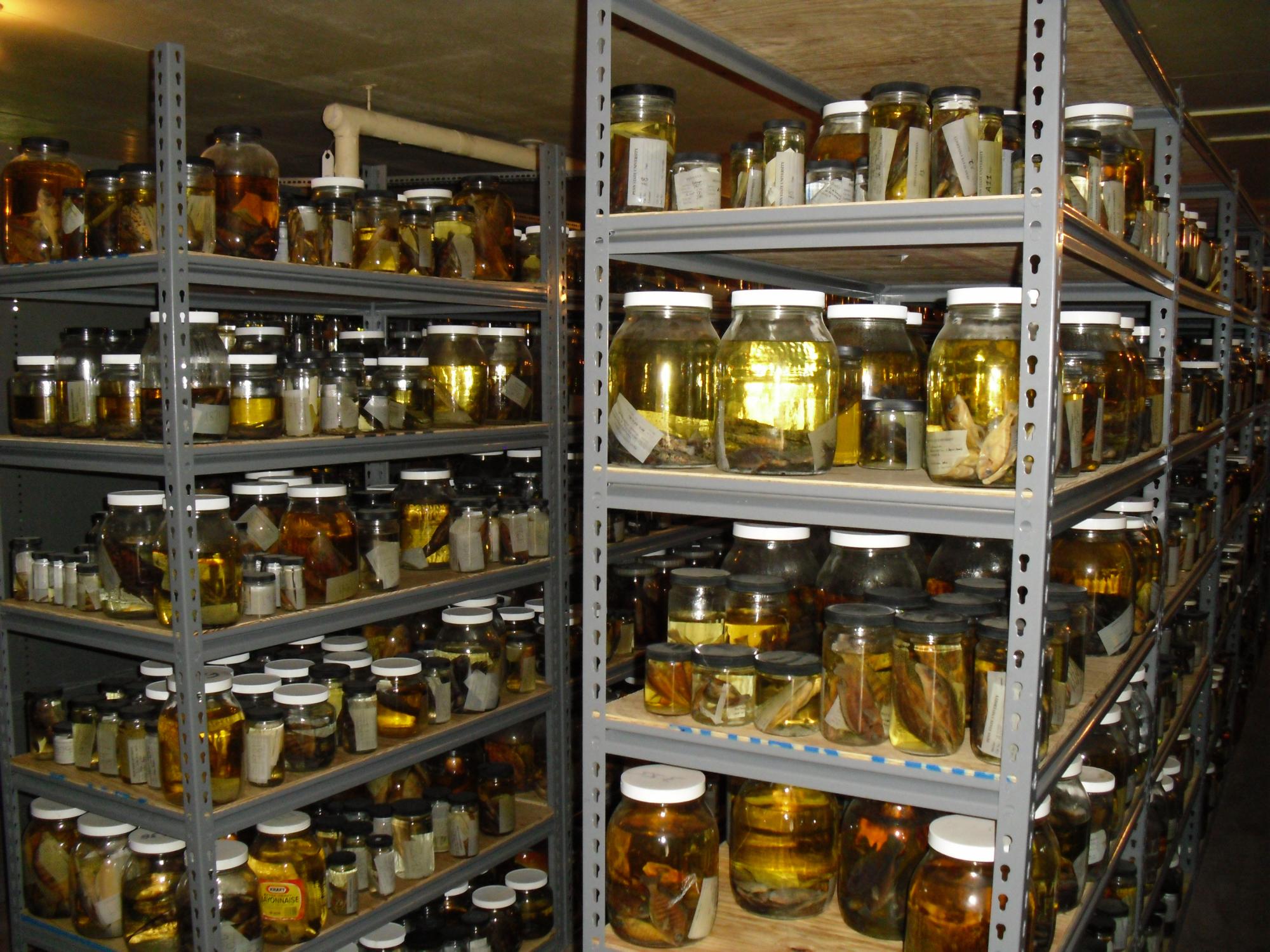 30,000 specimens