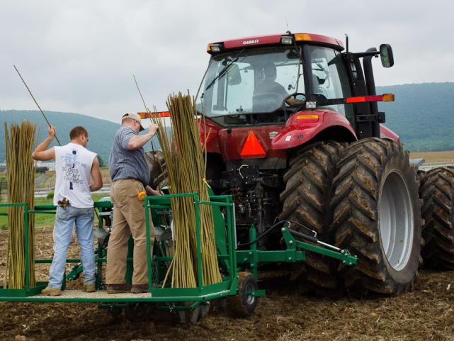 photo of planting in 2012