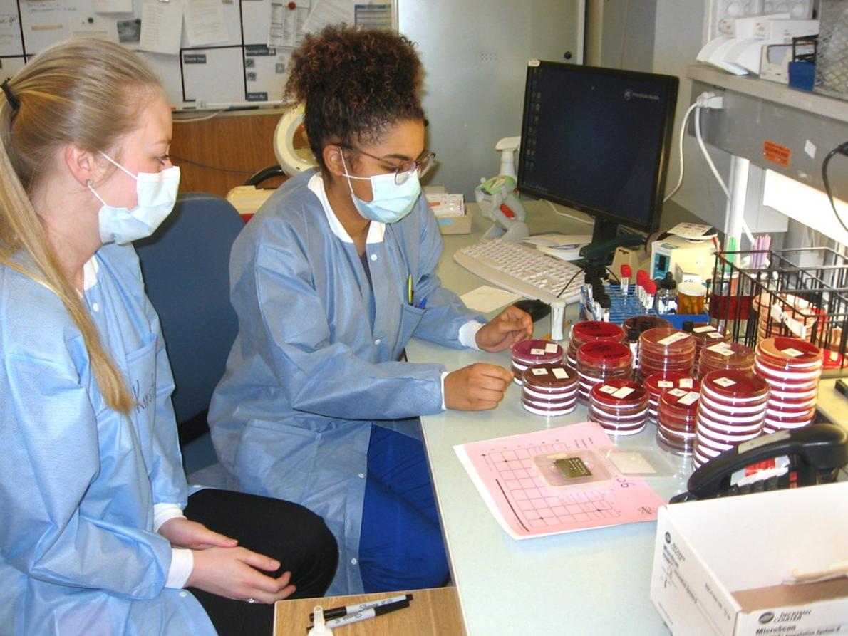 Mya Falcioni and Kirsten Hedderick, alumni of the Medical Laboratory Science Program, perform tests in the microbiology lab. 