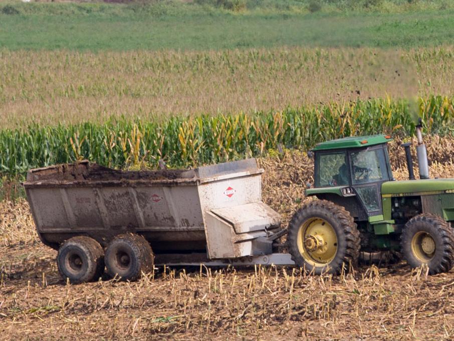 spreading manure