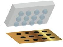 graphic of hydrogel stamp and plate