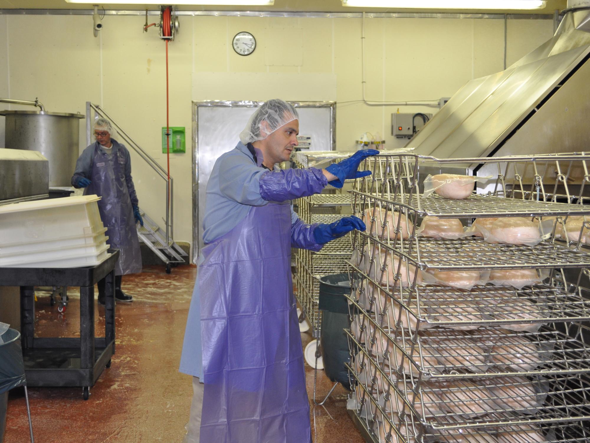 food safety guy
