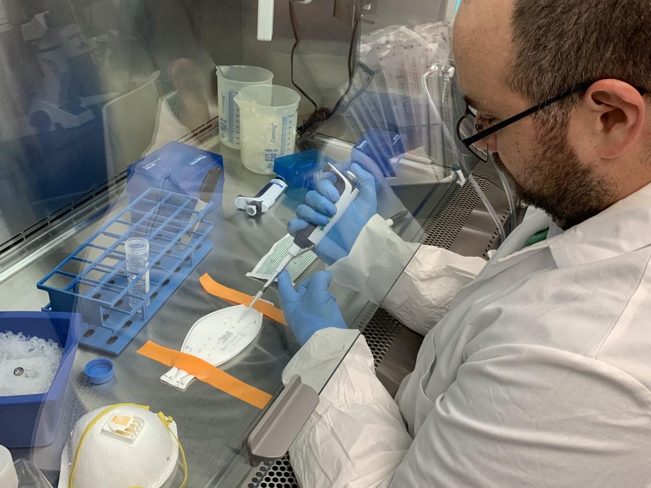 man pipettes liquid onto N95 mask