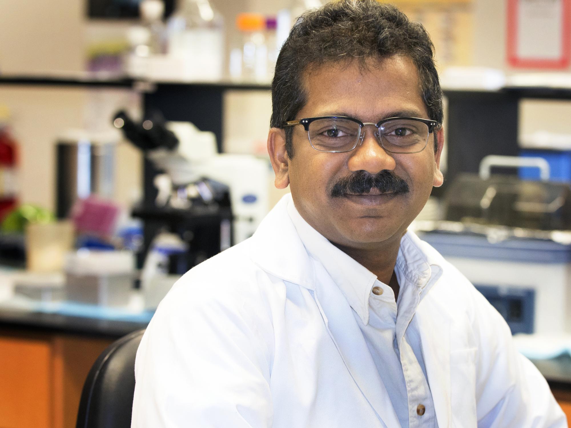 Professor Jairam Vanamala in his lab