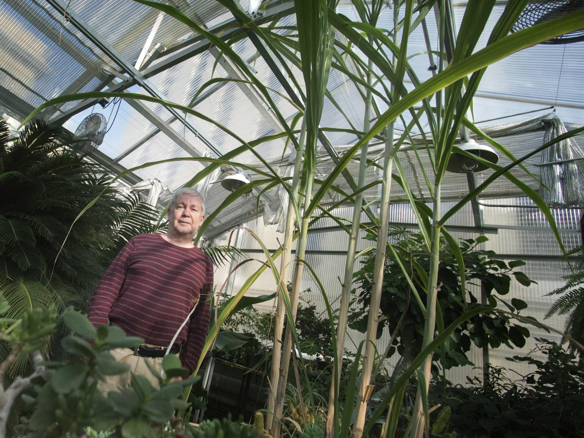 Sugar Cane Research-22-DCosgrove
