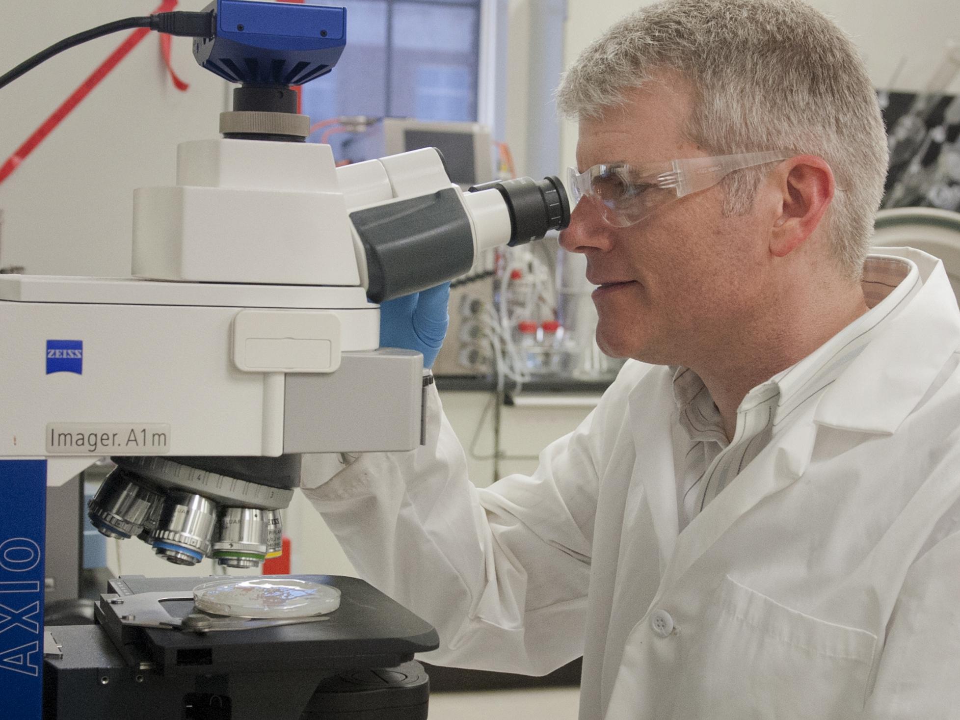 Jeff Catchmark in lab conducting biofuel study.