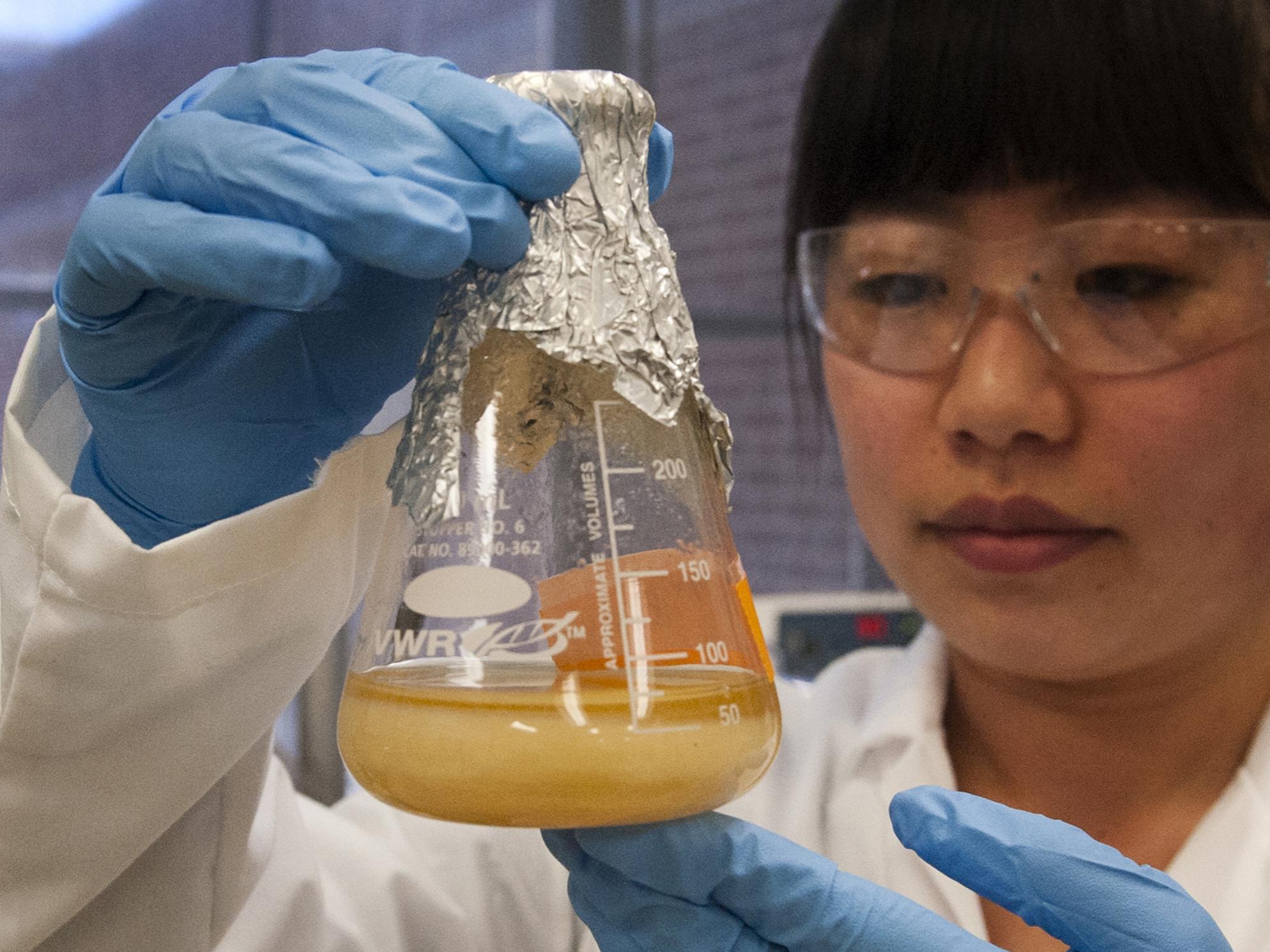 Lin Fang working in lab at Penn State