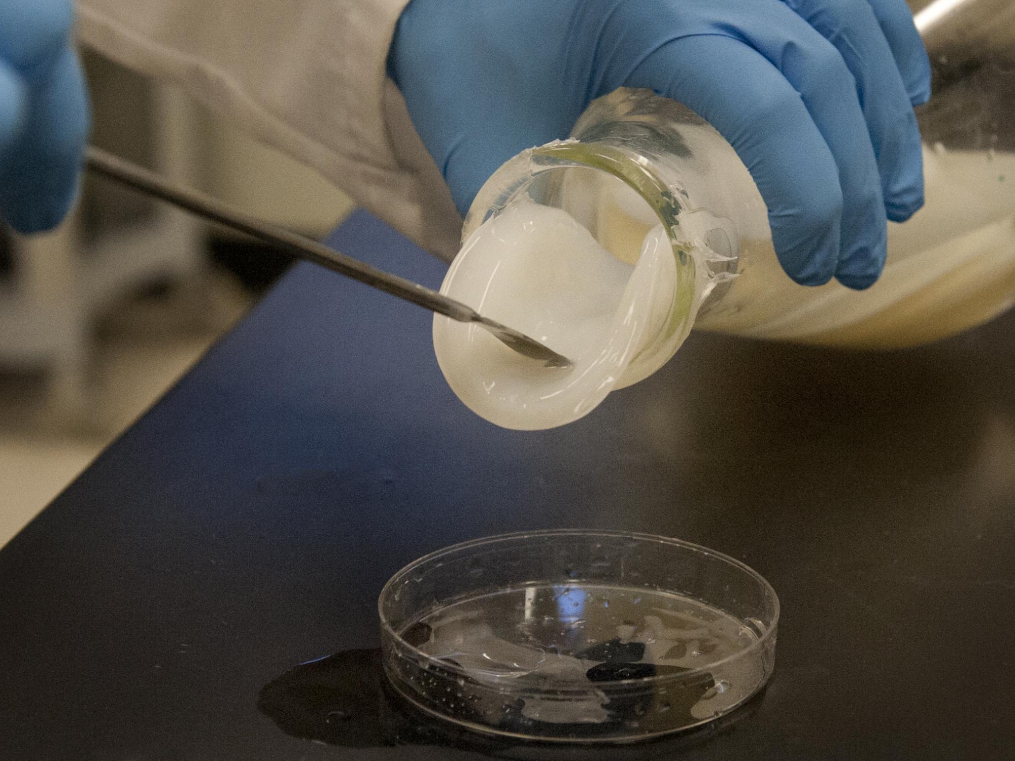 Microbial cellulose sample