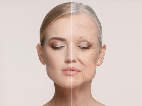 Center for Healthy Aging | Penn State University
