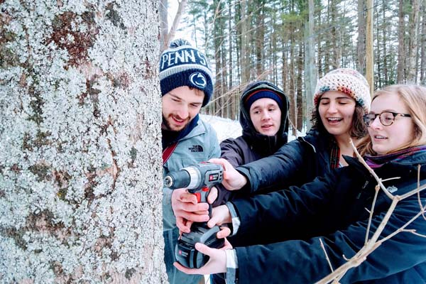 Maple Harvest Festival