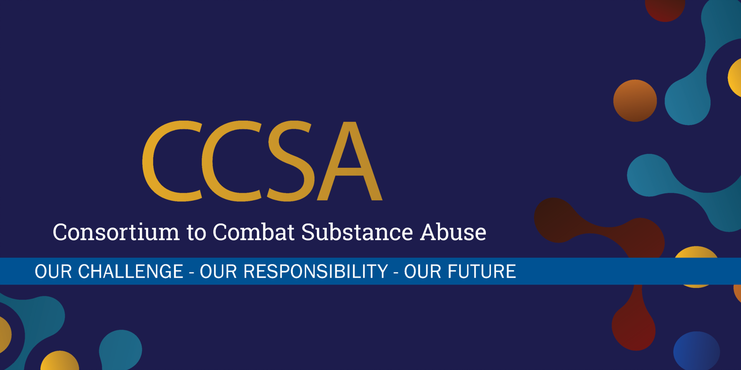 CCSA Header Image 